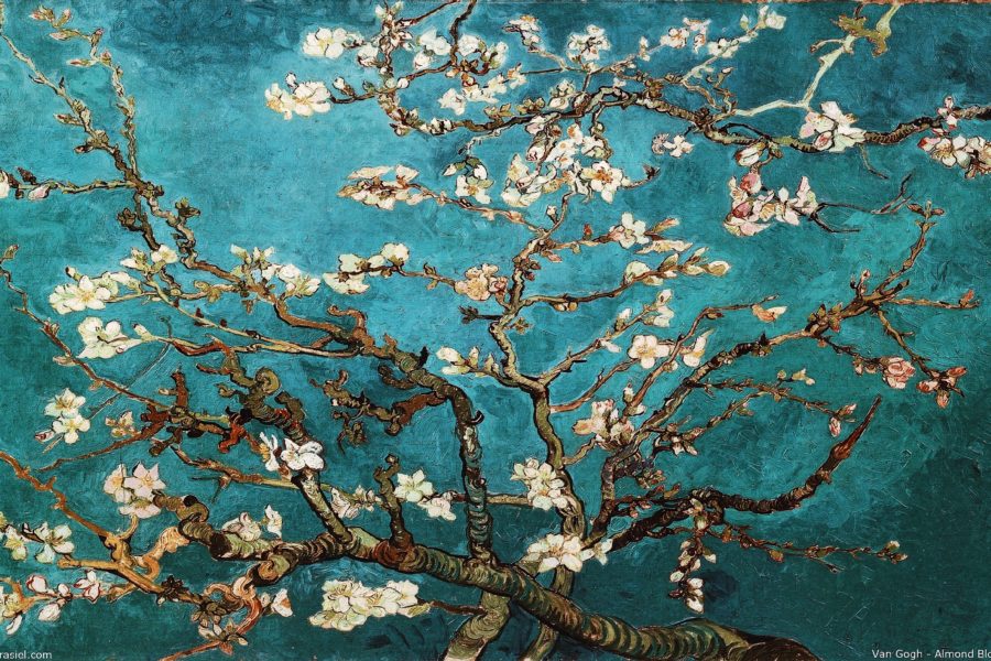Most Famous Paintings In Van Gogh Museum Most Famous Paintings In Van Gogh Museum