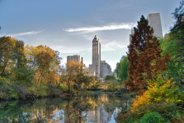 The Essential Central Park Guided Walking Tour
